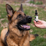 Purfurred Pet - CBD for Dogs 1oz (200mg CBD)