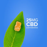 Tasty Hemp Oil – CBD Gummies 40 Count (25mg CBD Each)